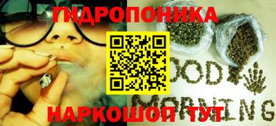 тгк Дубна