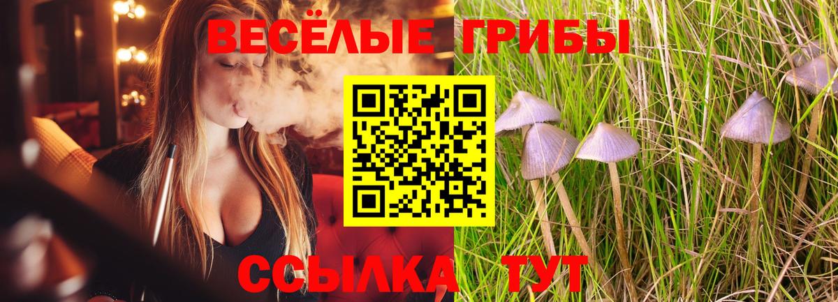 Псилоцибиновые грибы мицелий  Вход с VPN  Нарьян-Мар  Галлюциногенные грибы GOLDEN TEACHER 