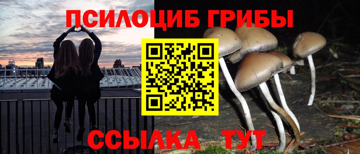 Галлюциногенные грибы ЛСД Нарьян-Мар